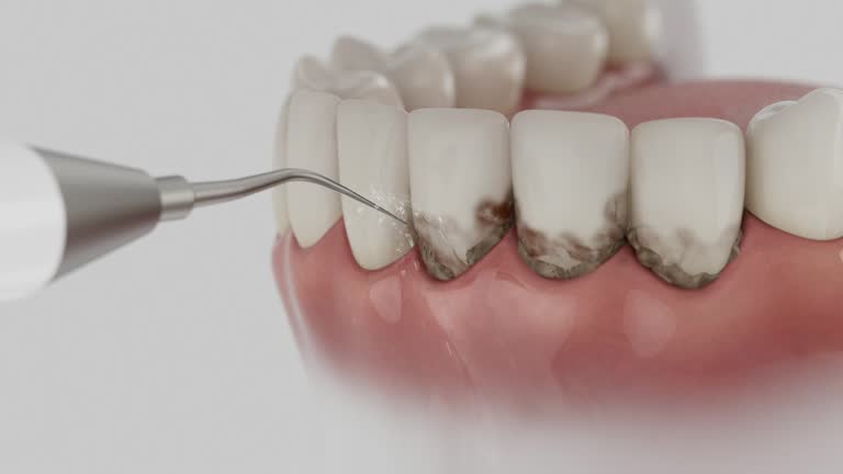 Reliable Dental contractor in Fergus Falls, MN by Dentist Open Now